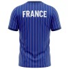 Maillot de Foot France Pre-Match 2026