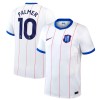 Maillot de Foot Chelsea Palmer 10 Third 2026-27
